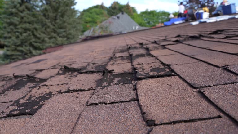 Best Roof Ventilation Installation  in Fairfax Station, VA