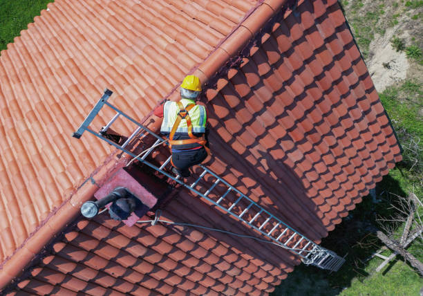 Best Roof Moss and Algae Removal  in Fairfax Station, VA